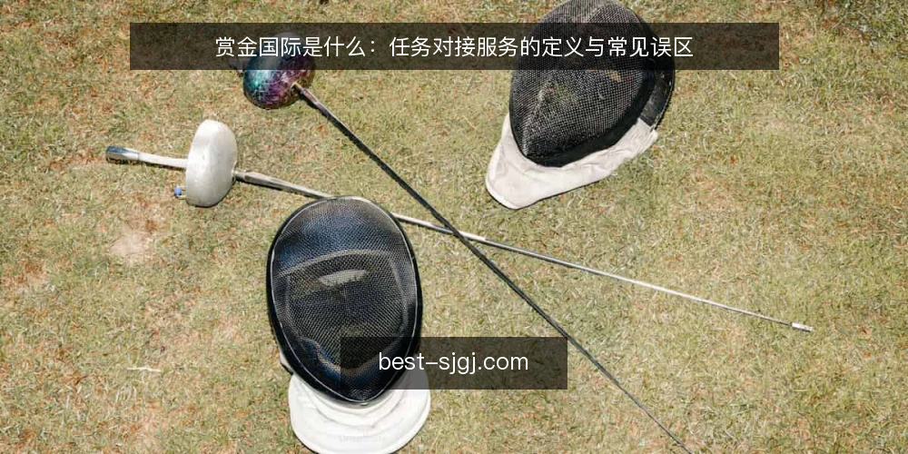 赏金国际是什么：任务对接服务的定义与常见误区 — 界定赏金国际：任务对接服务的本质 配图