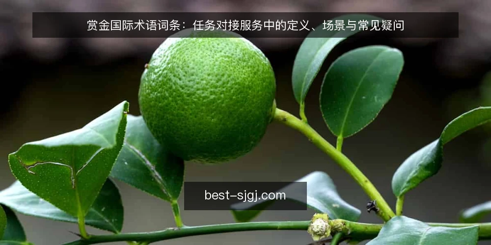 赏金国际术语词条：任务对接服务中的定义、场景与常见疑问 — 任务对接服务的定义与使用场景 配图