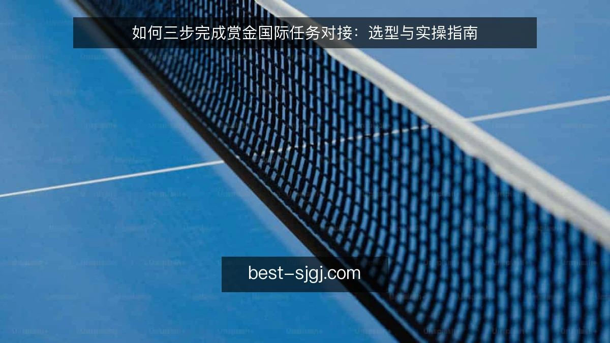 如何三步完成赏金国际任务对接：选型与实操指南