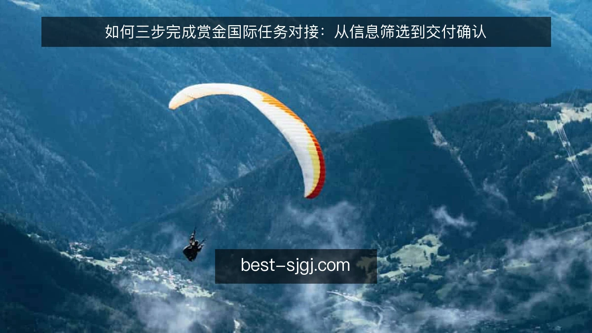 如何三步完成赏金国际任务对接：从信息筛选到交付确认