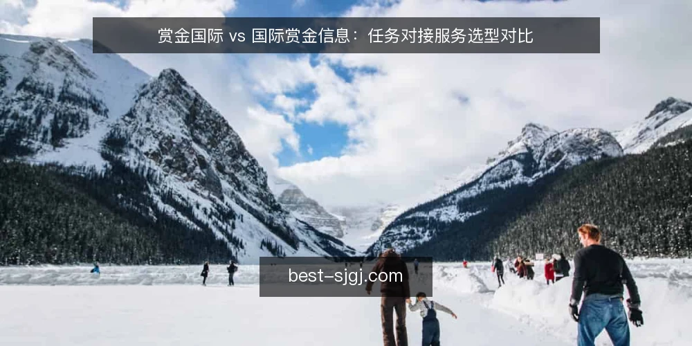 赏金国际 vs 国际赏金信息：任务对接服务选型对比 — 先定决策标准：任务对接服务怎么选 配图