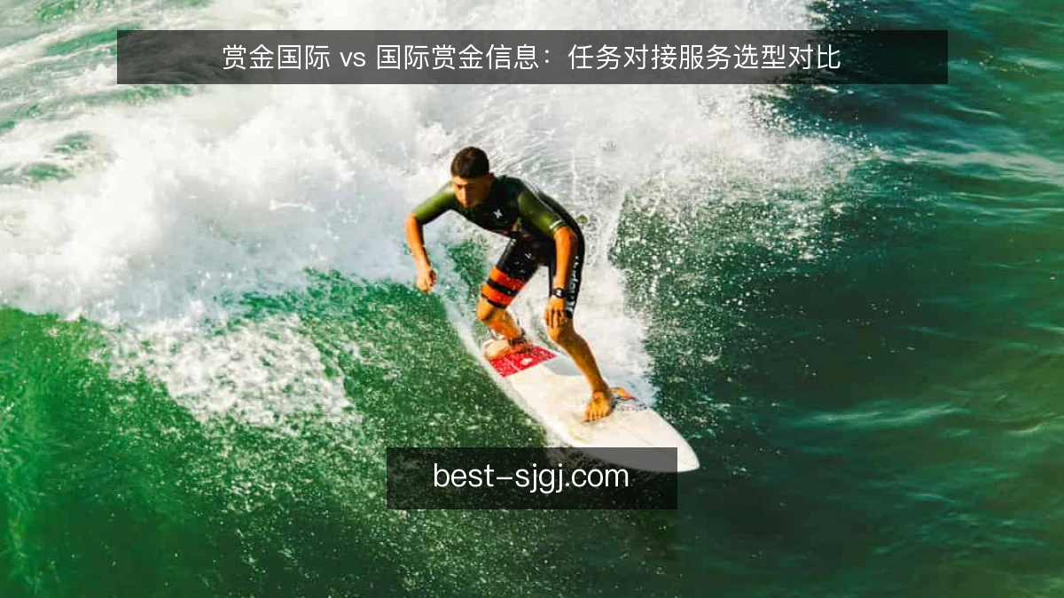 赏金国际 vs 国际赏金信息：任务对接服务选型对比