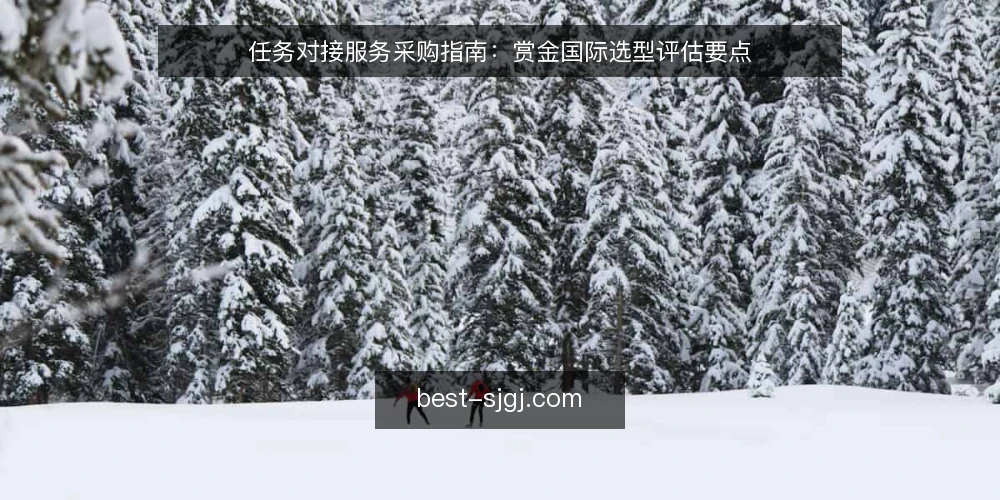 任务对接服务采购指南：赏金国际选型评估要点 — 任务对接服务采购的典型痛点 配图