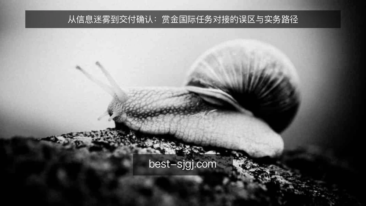 从信息迷雾到交付确认：赏金国际任务对接的误区与实务路径