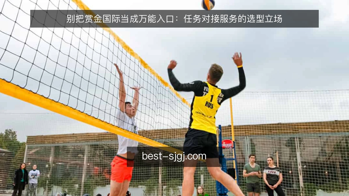 别把赏金国际当成万能入口:任务对接服务的选型立场