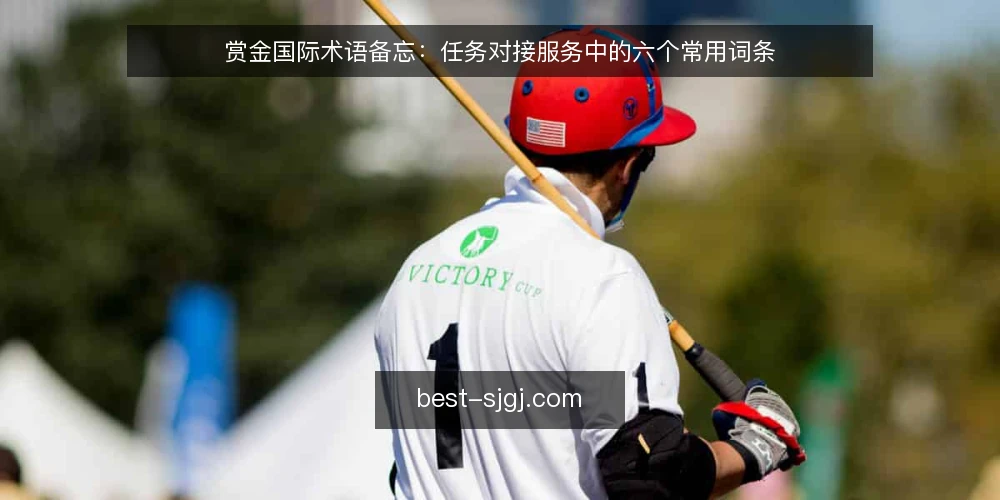 赏金国际术语备忘:任务对接服务中的六个常用词条 — 信号词条:哪些术语值得先盯 配图