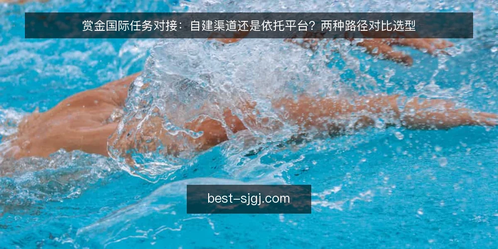 赏金国际任务对接：自建渠道还是依托平台？两种路径对比选型 — 先定标准：赏金国际任务对接要比什么 配图
