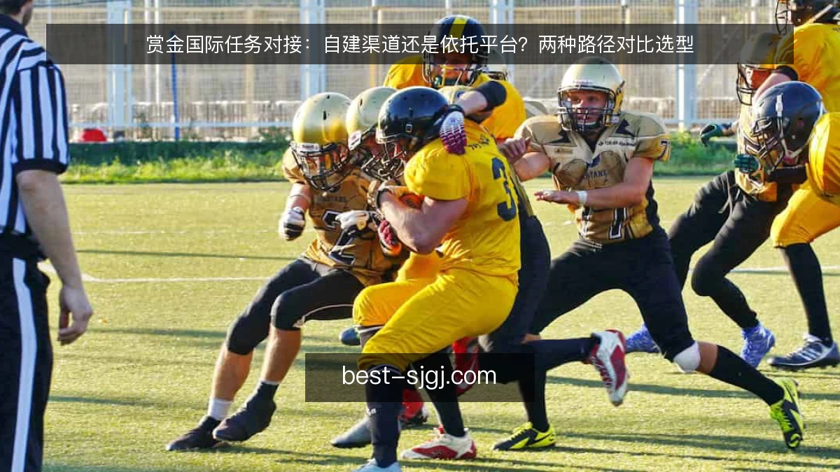 赏金国际任务对接：自建渠道还是依托平台？两种路径对比选型