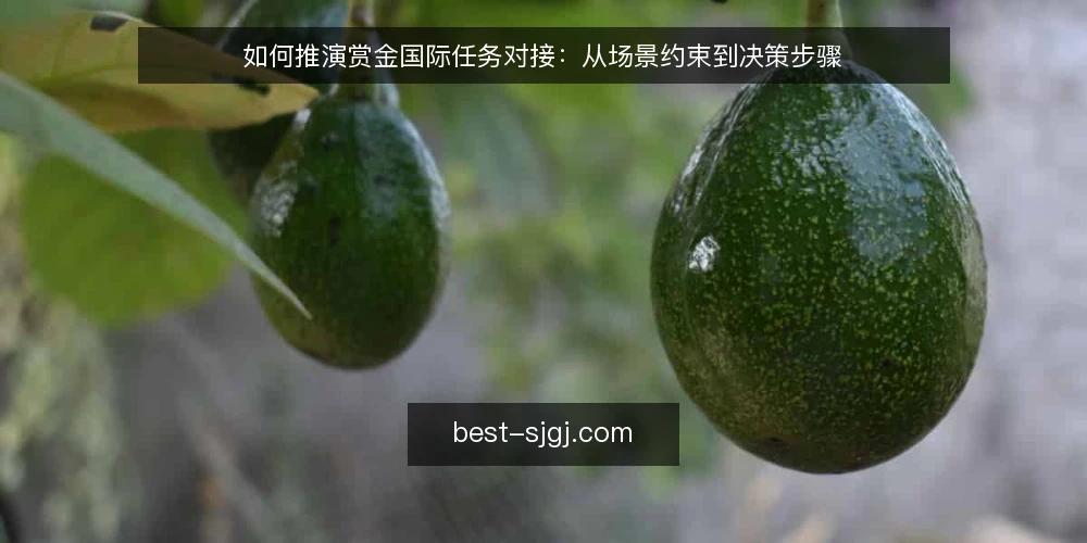 如何推演赏金国际任务对接：从场景约束到决策步骤 — 场景设定：从一份模糊需求开始 配图