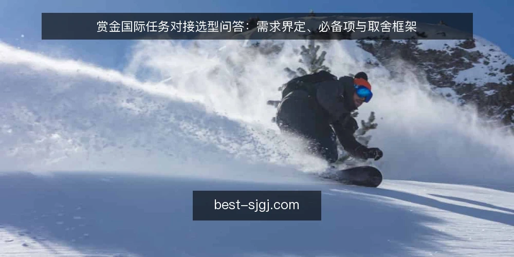 赏金国际任务对接选型问答：需求界定、必备项与取舍框架 — 我们要解决的需求到底是什么？ 配图
