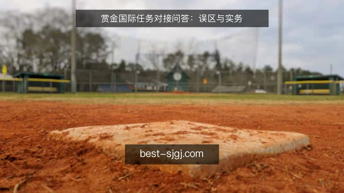 赏金国际任务对接问答：误区与实务